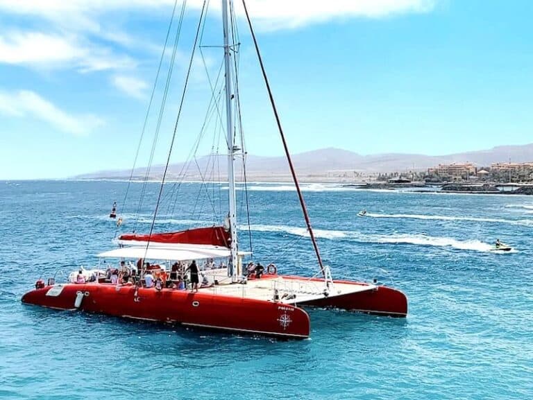 Catamaran excursion along the coast of Fuerteventura from Caleta de Fuste