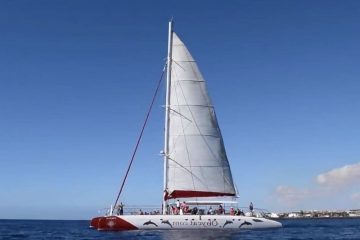 Catamaran Obycat