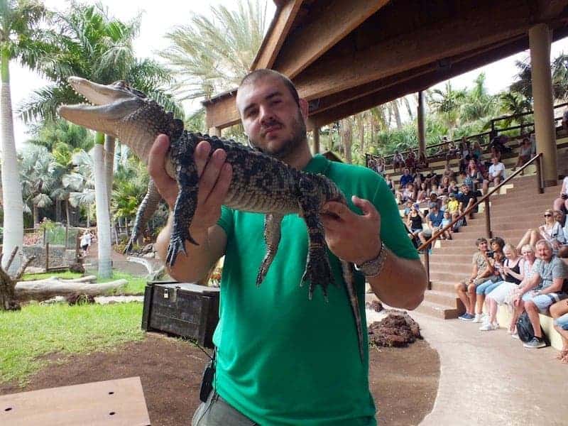 Reptil Show