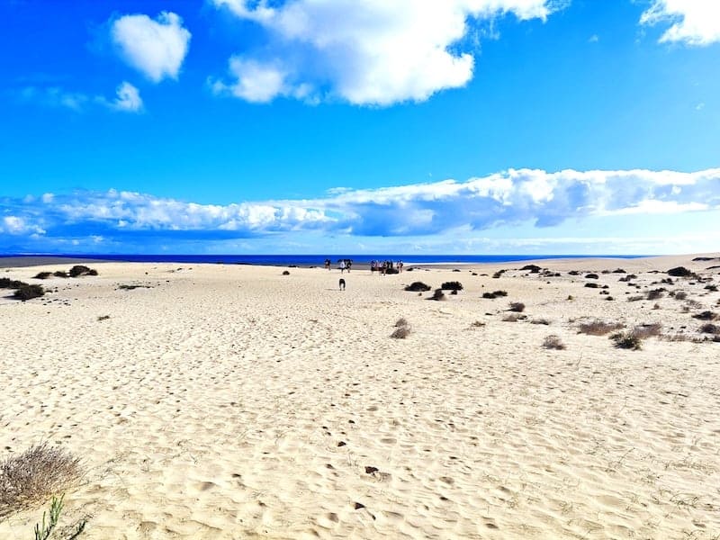 Grandes Playas Corralejo