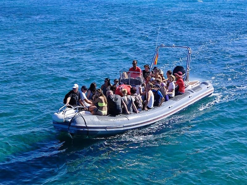 Isla de lobos lancha