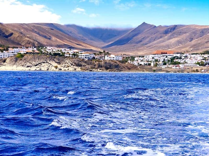 whale watching fuerteventura morro jable