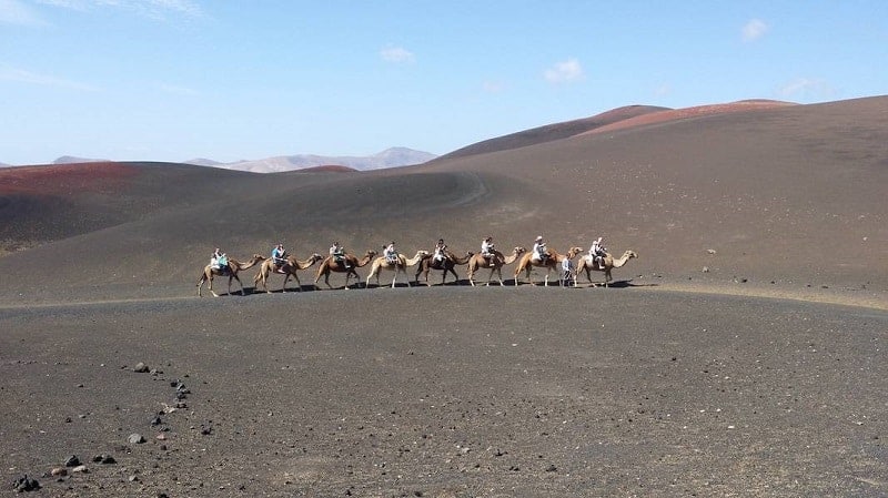 Paseo a camello por Timanfaya