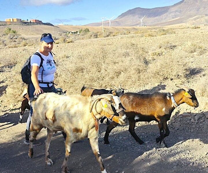 hiking route fuerteventura